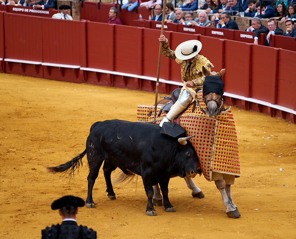 Bullfight in Seville Arena shows traditional Spanish culture by Marco Brivio