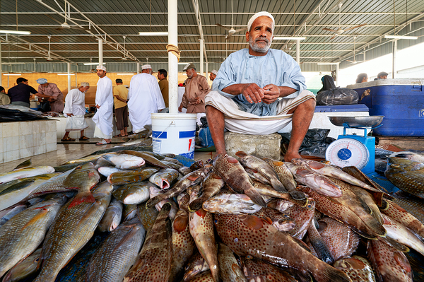 Visit to the muscat fish market in oman during the day Print