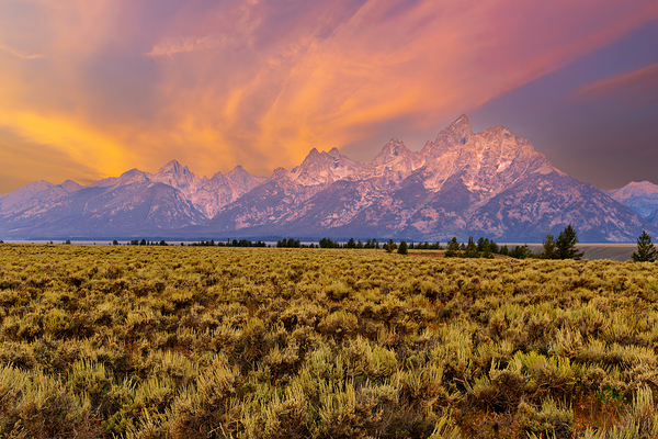 Hikers explore view of Grand Teton mountains at sunset Print