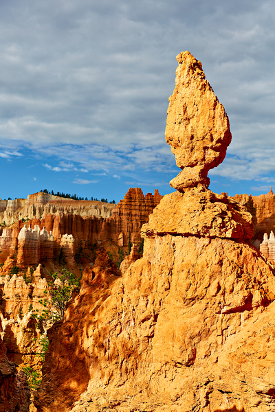 Visiting queens garden in bryce canyon national park Digital Download