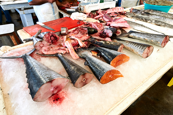 Fresh fish and seafood displayed on ice in Dubai market Print