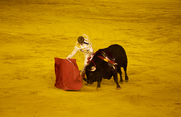 Bullfight event in Seville arena during Andalusia by Marco Brivio