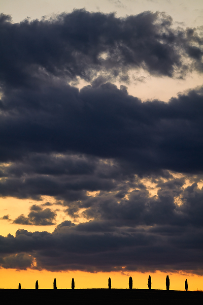 Sunset in Val dOrcia with cypresses in Tuscany Italy Print
