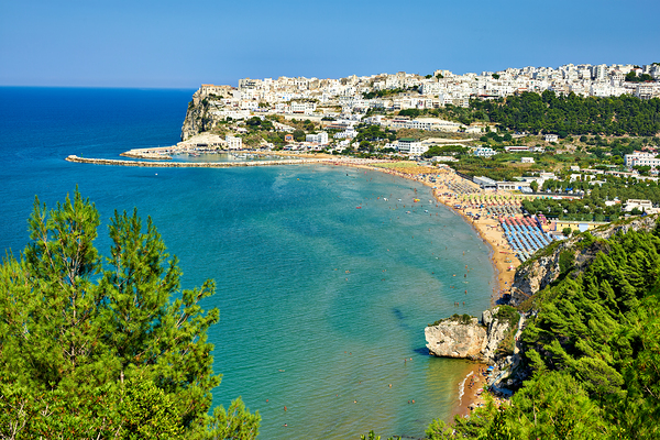 Apulia Puglia Gargano Italy. Elevated view of Peschici Print