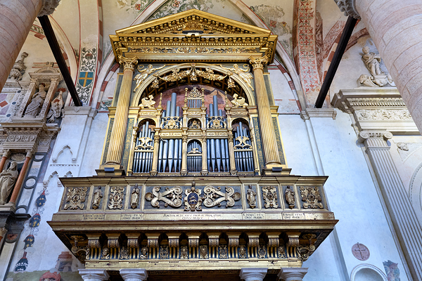 Verona Veneto Italy. The organ of the Basilica of Saint Anastasia Print