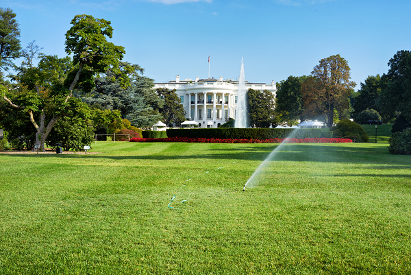 The White House. Washington D.C. Print