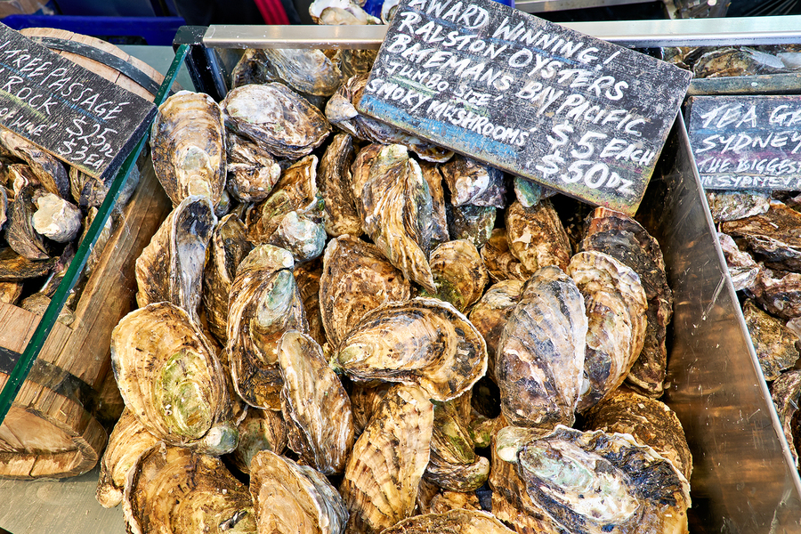 Fresh oysters for sale at a market stall.  Print