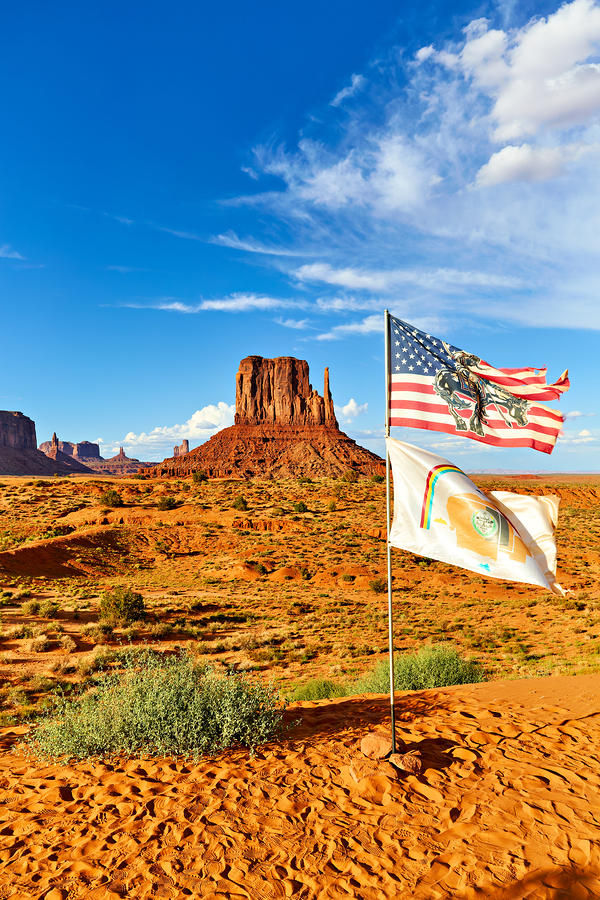 Monument Valley displays flags under blue sky in USA  Print