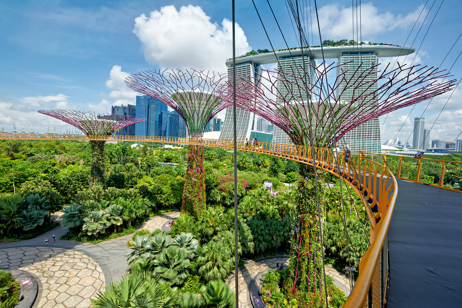 People walk on bridge to Supertree Grove with city in view  Print