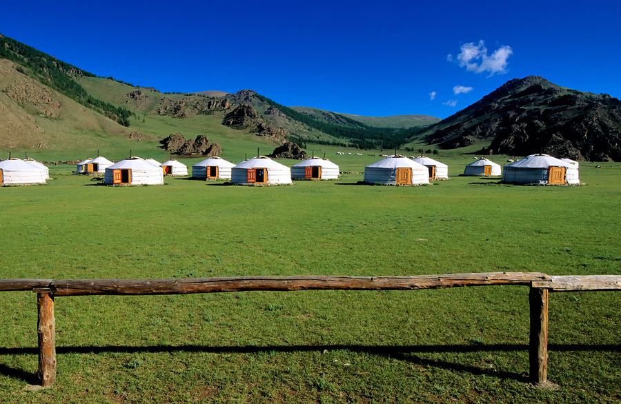 Ger tents in the grassy fields of Mongolia under clear skies  Print
