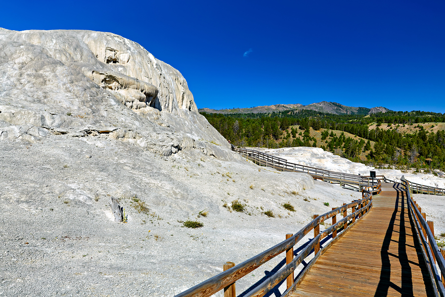 Exploring mound spring and Jupiter Terrace in Yellowstone  Print