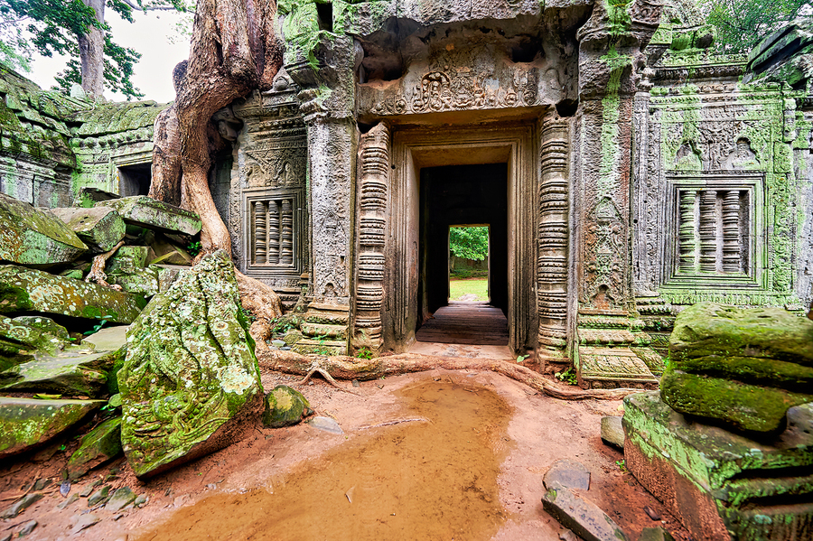 Ancient temple ruins overgrown by trees and moss.  Print