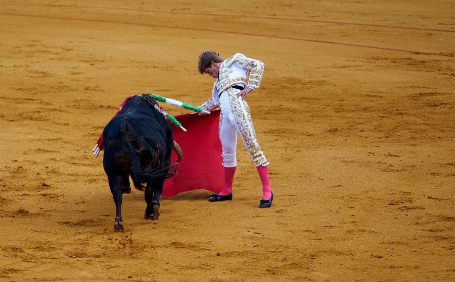 Bullfight taking place in Seville Arena in Andalusia Spain  Print