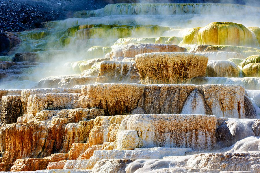 Mound Spring and Jupiter Terrace show unique geothermal features  Print