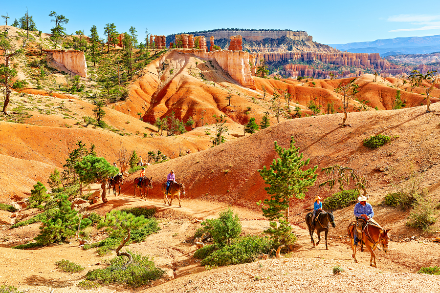 Horseback trip in Queens Garden at Bryce Canyon National Park  Print