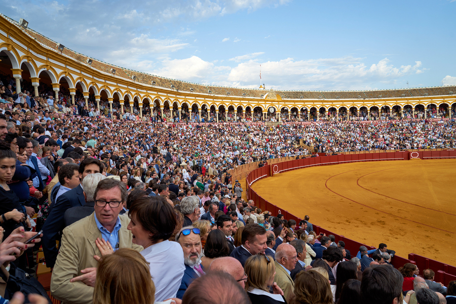 ANDALUSIA SPAIN. Bullfight in Seville Arena  Print