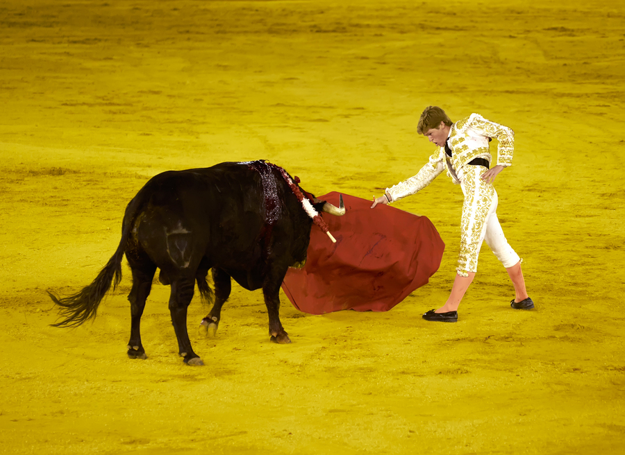 ANDALUSIA SPAIN. Bullfight in Seville Arena  Print