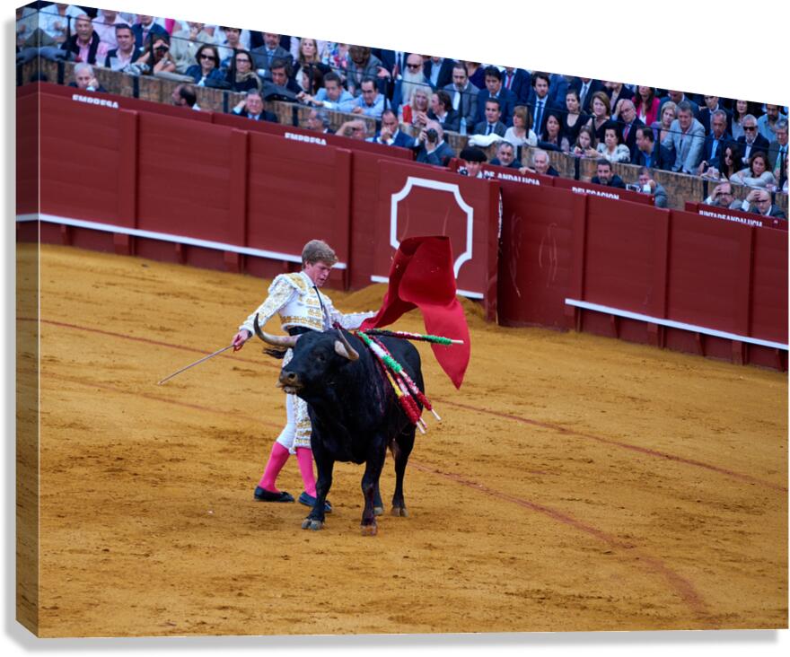 ANDALUSIA SPAIN. Bullfight in Seville Arena Canvas Print