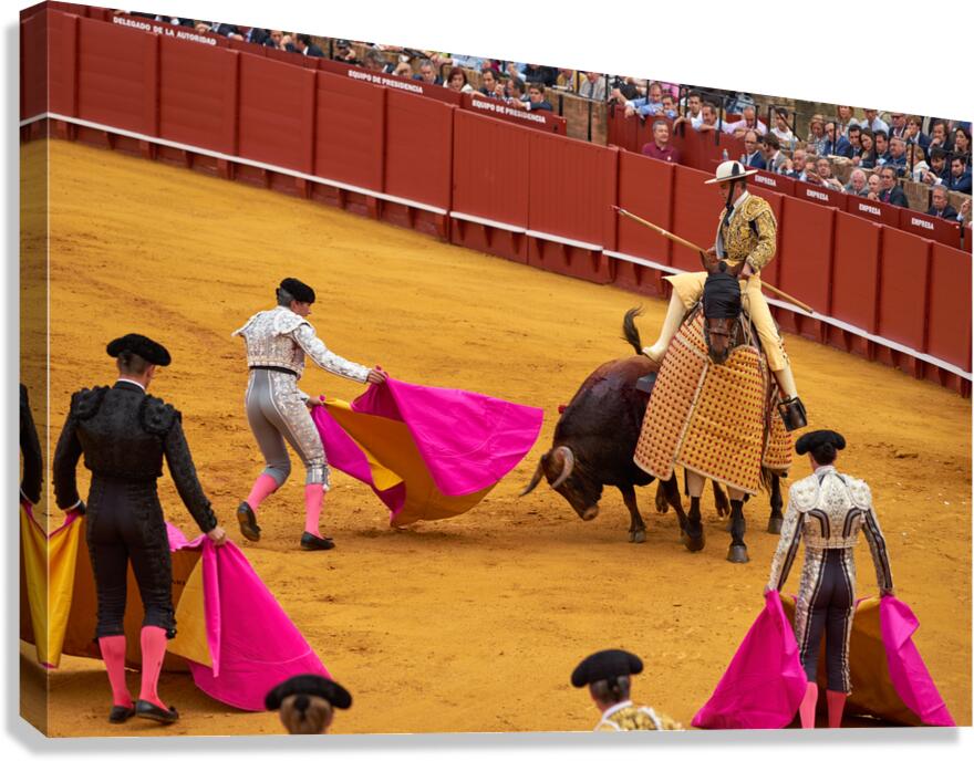 ANDALUSIA SPAIN. Bullfight in Seville Arena Canvas Print