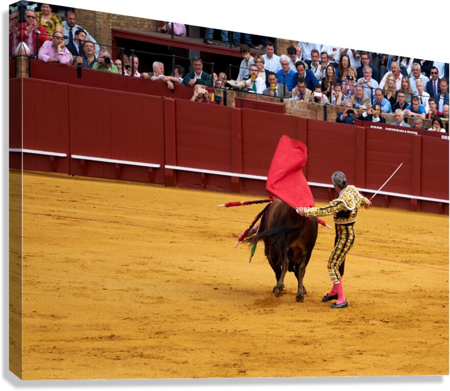 ANDALUSIA SPAIN. Bullfight in Seville Arena Canvas Print