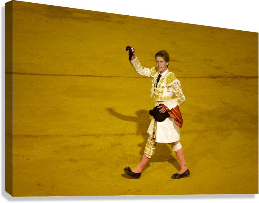ANDALUSIA SPAIN. Bullfight in Seville Arena Canvas Print