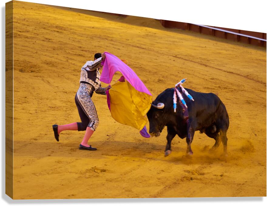 ANDALUSIA SPAIN. Bullfight in Seville Arena Canvas Print