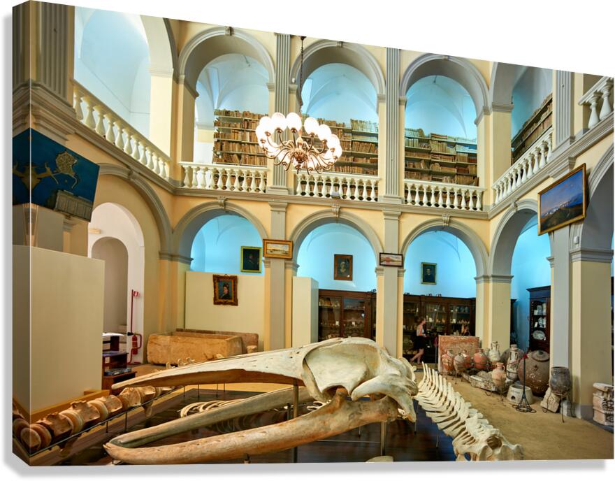 Salento. Apulia Puglia Italy. Gallipoli. Civic Museum Emanuele Barba Canvas Print