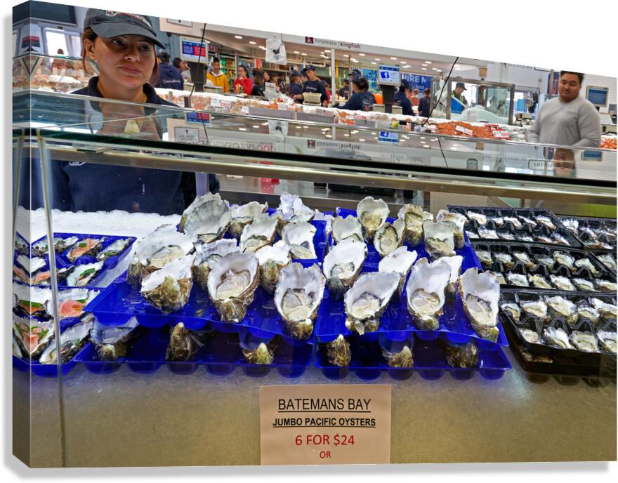 Fresh oysters on display at a seafood market. Canvas Print