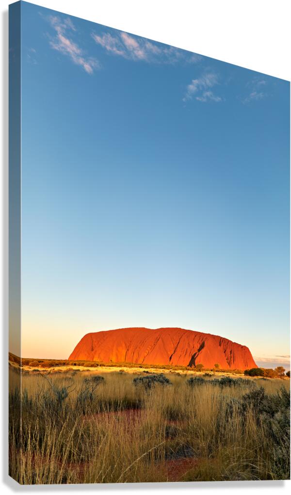 Uluru bathed in golden sunset light Australia. Canvas Print