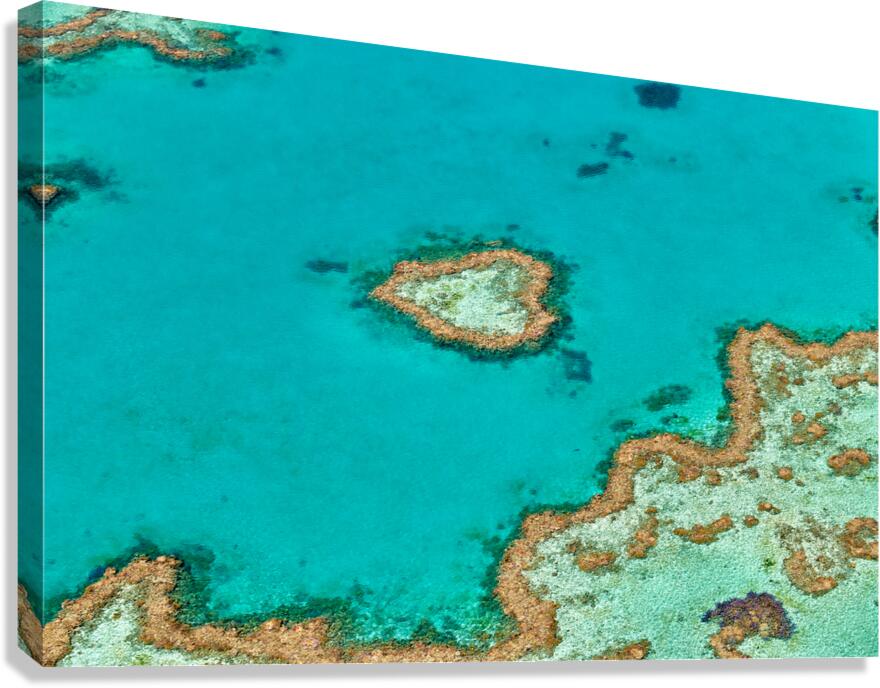 Heart Reef Great Barrier Reef Australia Canvas Print