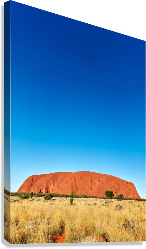 Uluru monolith under a clear blue sky. Canvas Print
