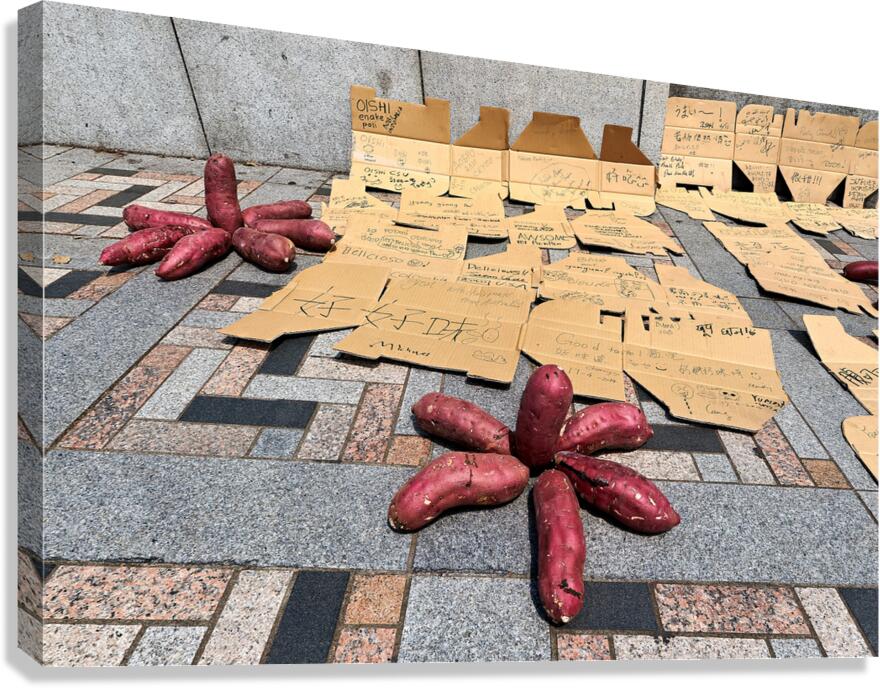Red potatoes on display for sale in Tokyo market area Canvas Print