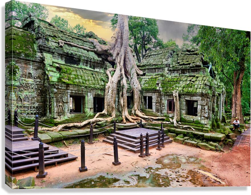 Ancient temple ruins overgrown by massive tree roots and moss. Canvas Print