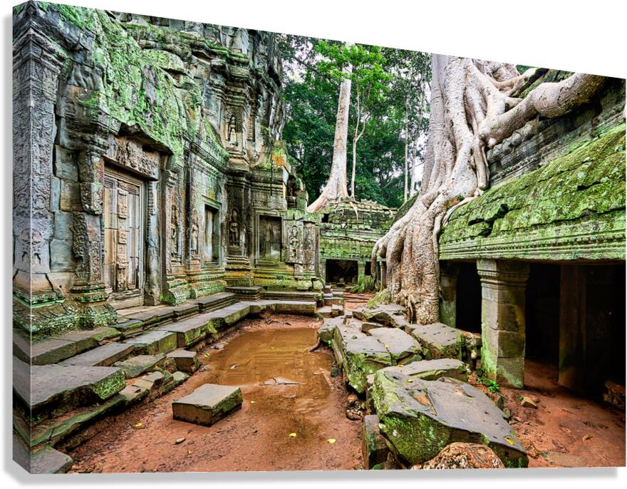 Ancient temple ruins consumed by giant tree roots and jungle. Canvas Print