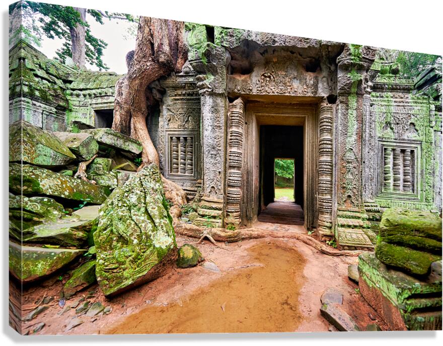 Ancient temple ruins overgrown by trees and moss. Canvas Print