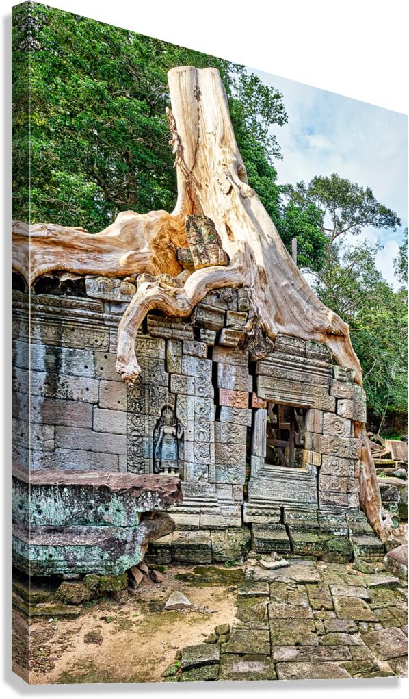 Tree roots engulf ancient temple ruins. Canvas Print