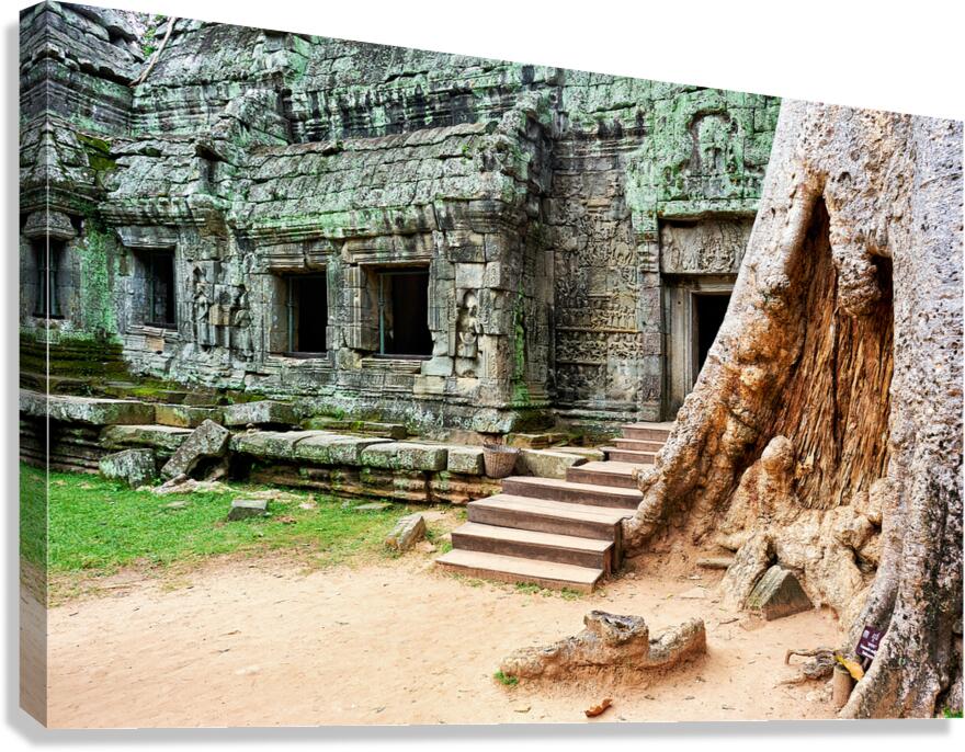Ancient temple ruins intertwined with giant tree. Canvas Print