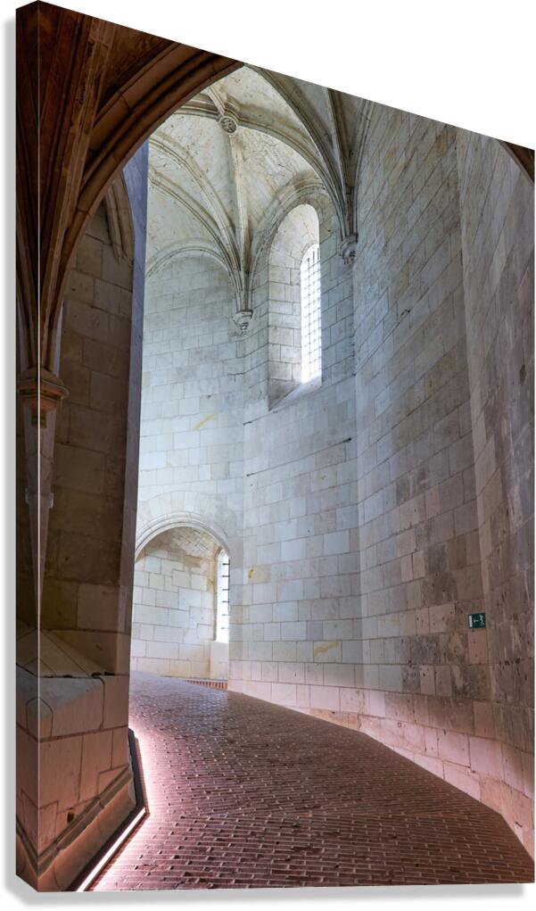 Chateau dAmboise offers views of historic architecture in Franc Canvas Print