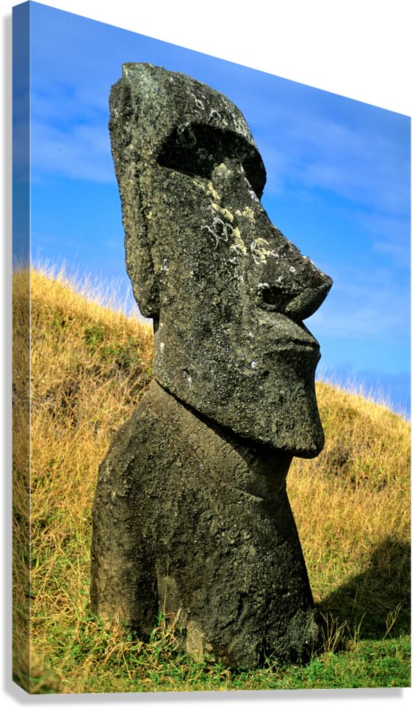 Iconic Moai statue stands tall on Easter Island. Canvas Print