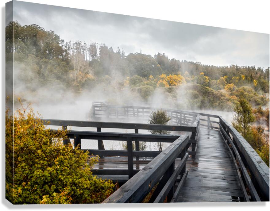 Discover geothermal trails in Whakarewarewa Rotorua Canvas Print