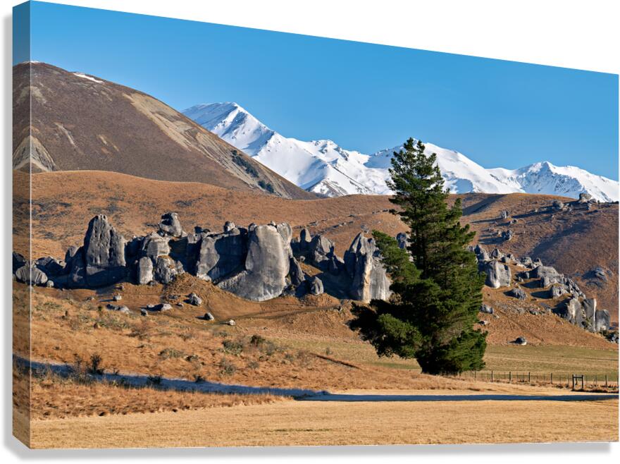 View of southern alps and castle hill in new zealand Canvas Print