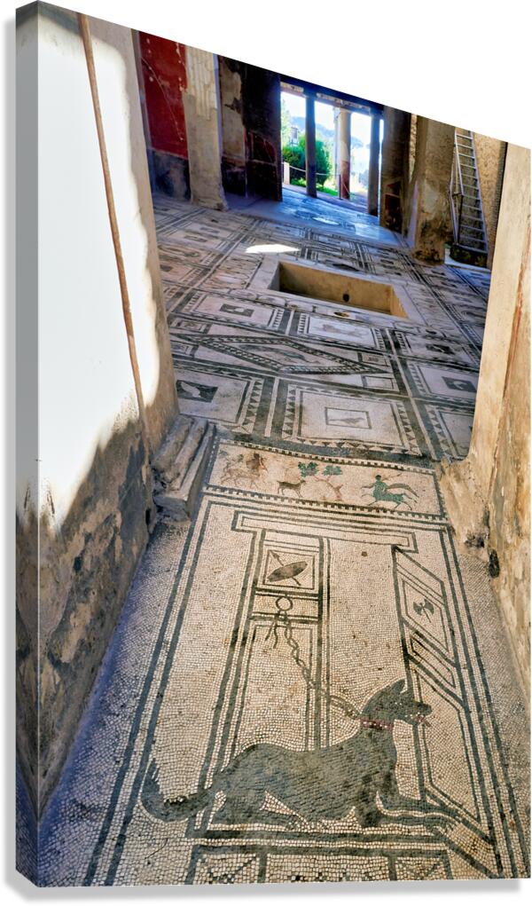 Mosaic floor in Pompeii reveals Roman art and ancient history Canvas Print