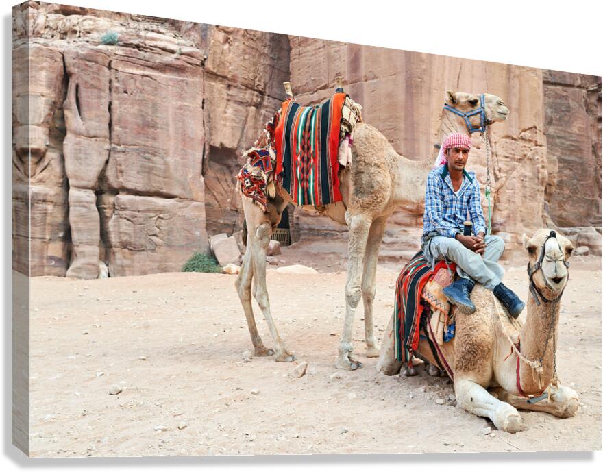 Camels wait for tourists at Petra archaeological site in Jordan Canvas Print