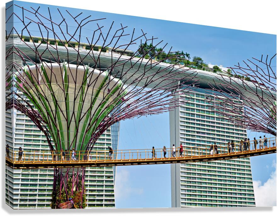 People walk on bridge connecting to Supertree Grove in Singapore Canvas Print