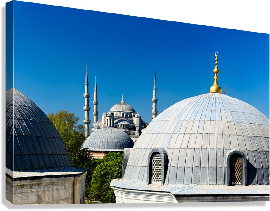 Blue Mosque domes under clear sky in Istanbul Canvas Print