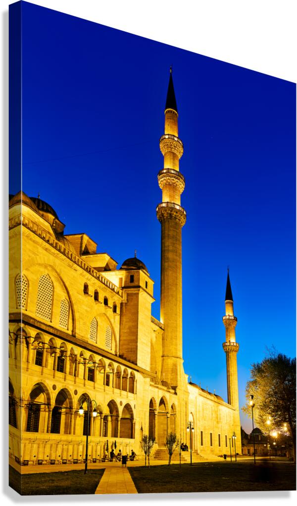 Suleymaniye Mosque stands tall in Istanbul at night Canvas Print