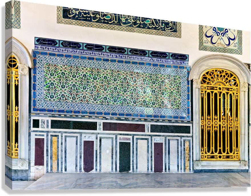 Exploring the ornate wall design in Topkapi Palace Istanbul Canvas Print