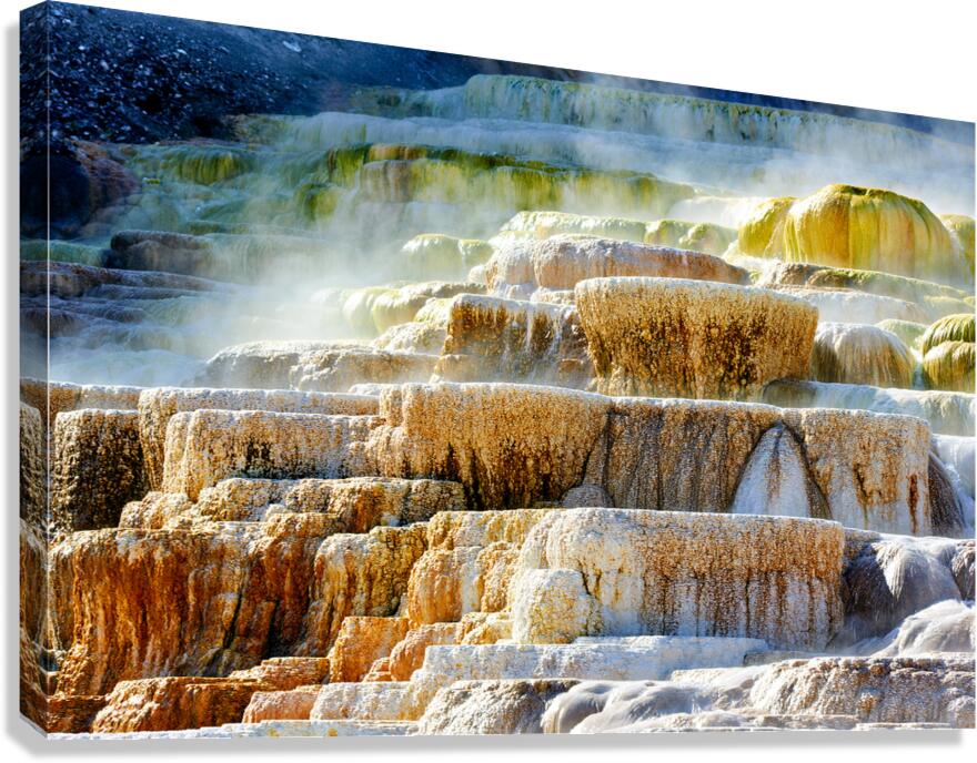 Mound Spring and Jupiter Terrace show unique geothermal features Canvas Print