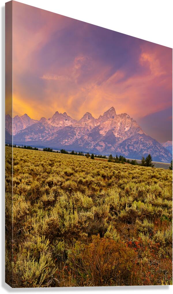 Grand Teton National Park view during the evening light Canvas Print