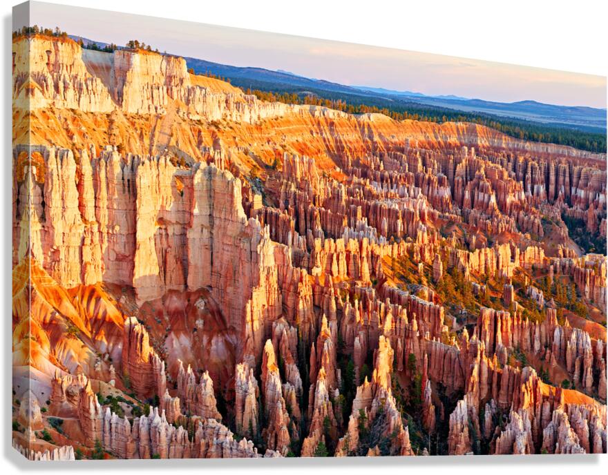 View of Bryce Canyon from Bryce Point during sunset Canvas Print